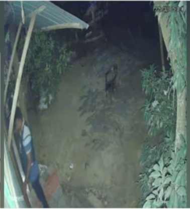 CCTV Footage of Ruhul Amin Being Picked Up From Home